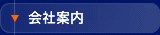 ��Јē�